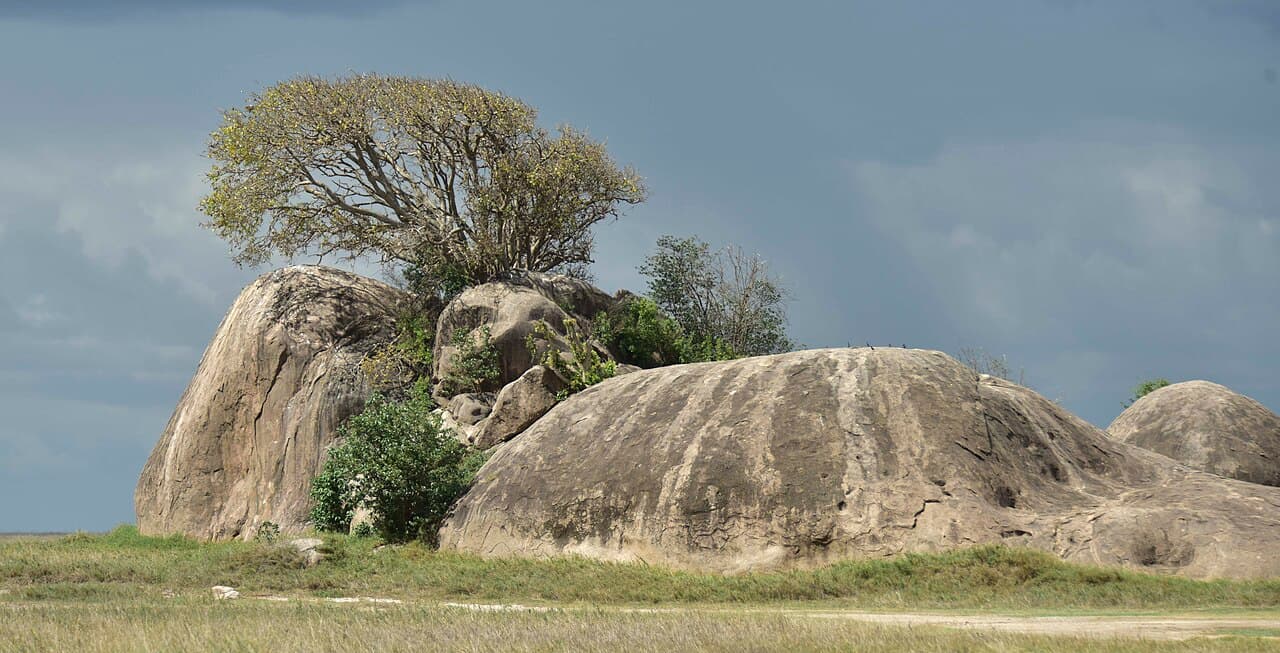 Serengeti, Ngorongoro et Zanzibar, Arusha, Tanzanie