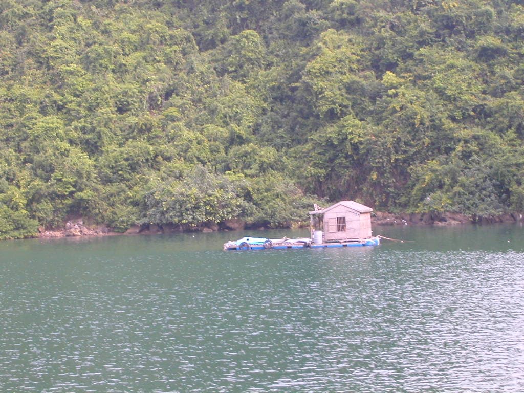 Vietnam